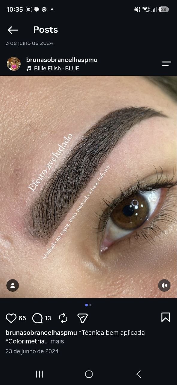 Detalhe real do acabamento Perfect Brows